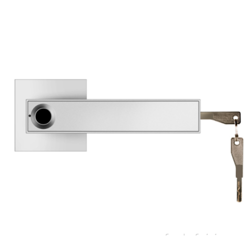 Fingerprint Lock with Key